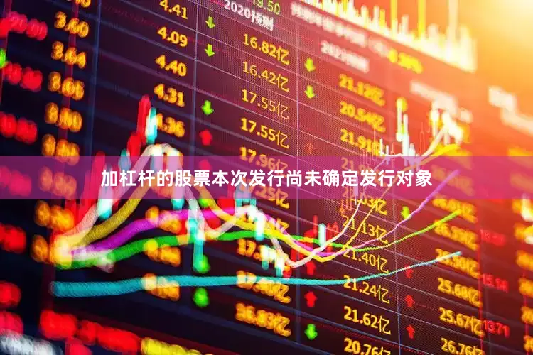 加杠杆的股票　　本次发行尚未确定发行对象