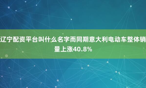 辽宁配资平台叫什么名字而同期意大利电动车整体销量上涨40.8%